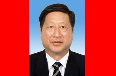 第十二届全国人民代表大会常务委员会副委员长张平
