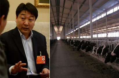 董辉代表建议：奶牛饲养应向标准化牧场模式快速转移