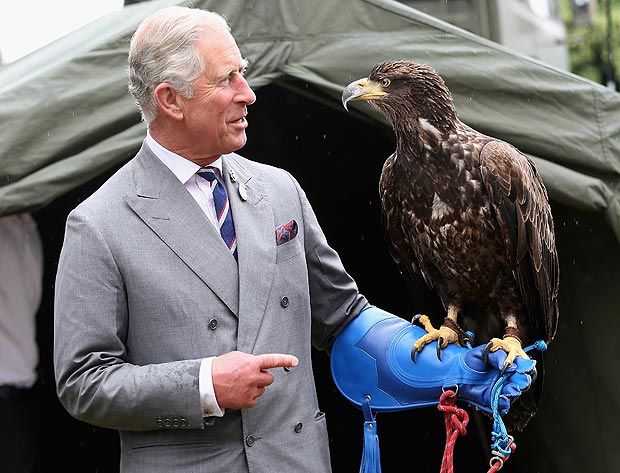 The Prince of Wales holds a bald eagle called Zephyr
