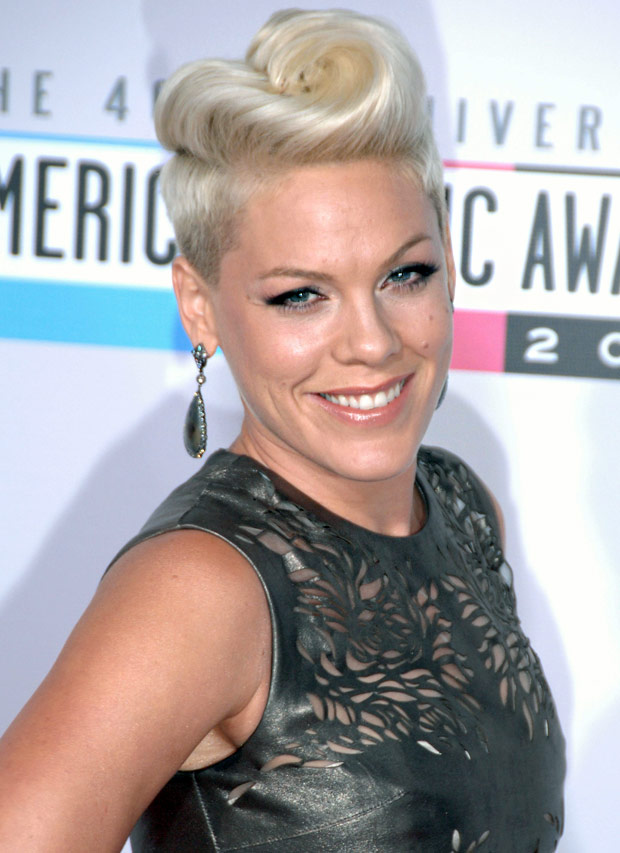 Pink says she takes online abuse in her stride