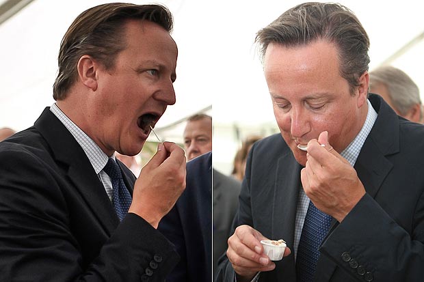 David Cameron samples a sausage and some clotted cream at North Devon Agricultural Show
