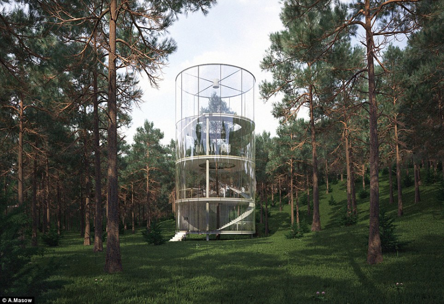 全透明树屋“环树而建” 享森林景色