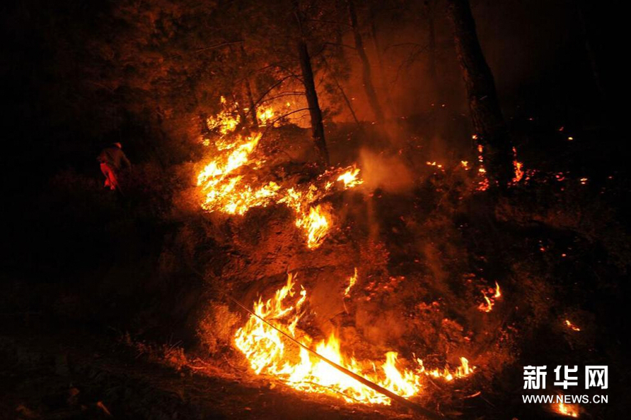 土耳其穆拉省发生森林火灾【组图】