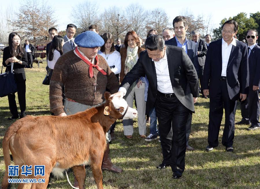 当地时间7月19日，正在对阿根廷进行国事访问的国家主席习近平参观共和国庄园，考察阿根廷农牧业，了解阿根廷农牧民文化特色。新华社记者马占成摄