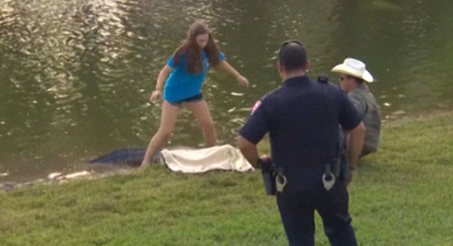 美13岁女孩帮父亲捕捉鳄鱼无惧色