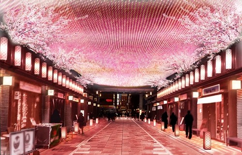 日本桥将举办樱花节浪漫柔美体验赏樱之乐（图）