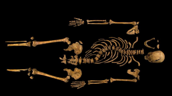 英国王理查德三世遗骸隆重安葬揭500年历史谜团