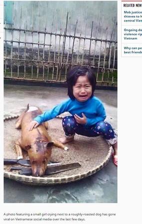 越南女童爱犬走失，几日后在狗肉摊看到，一眼认出痛喊“那是花花”。（网络图）