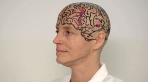 图为该教授在自己光头上展示的大脑构造图。