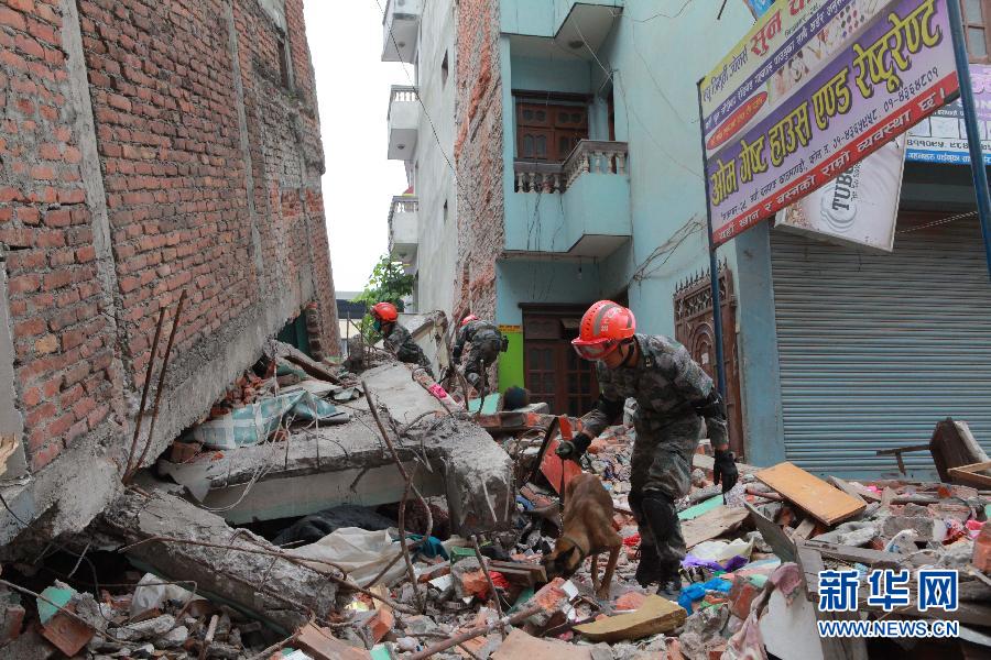 第14集团军某工兵团地震救援队在尼泊尔地震
