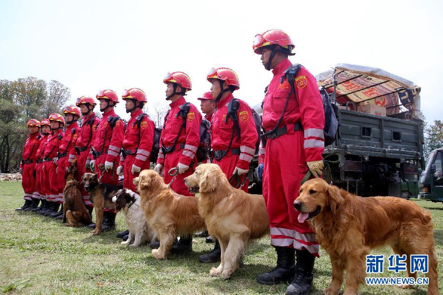 （国际·图文互动）（3）中国救援队的“神犬奇兵”
