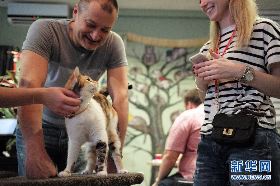 （国际）（2）莫斯科的“猫咪与人”咖啡馆