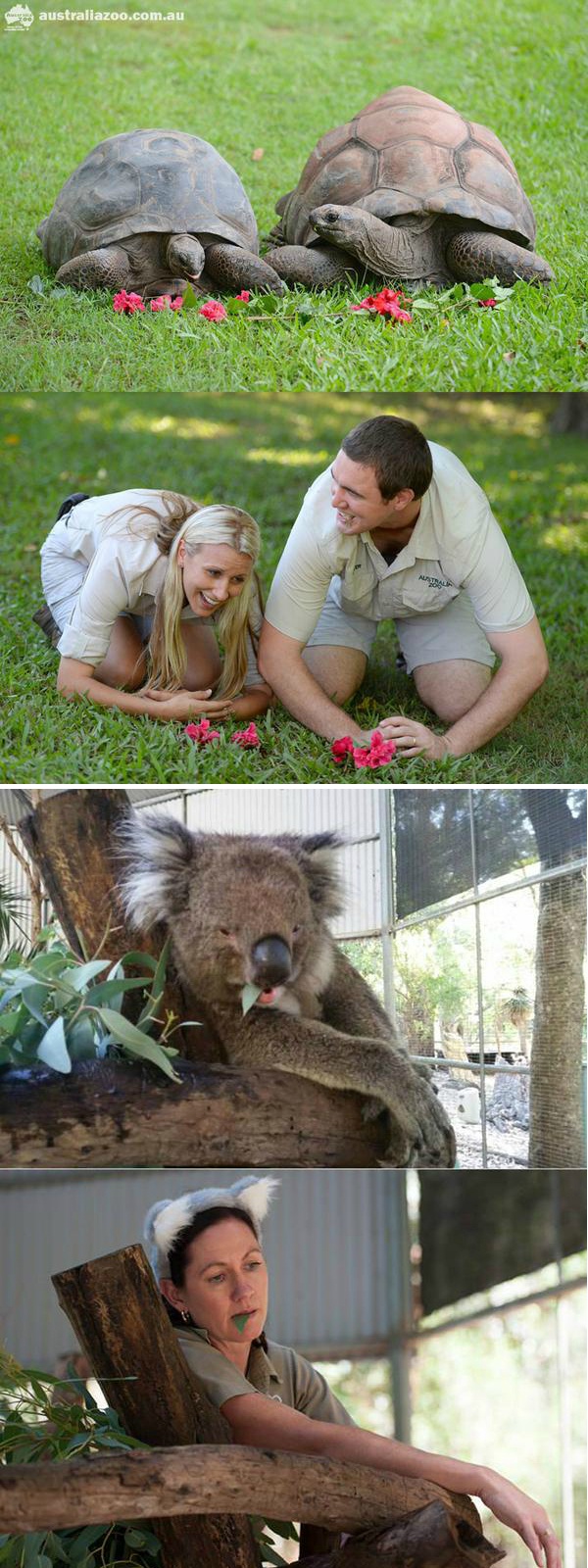 澳大利亚饲养员模仿动物大赛