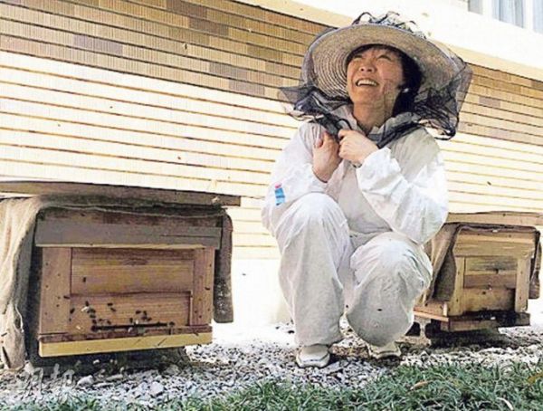 妻子在家养3万蜜蜂 安倍担心:不会被叮吗?(图)