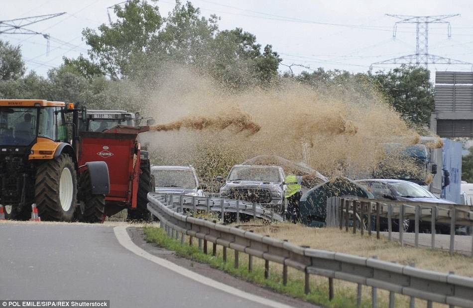 法国农民喷粪抗议食品价格下降