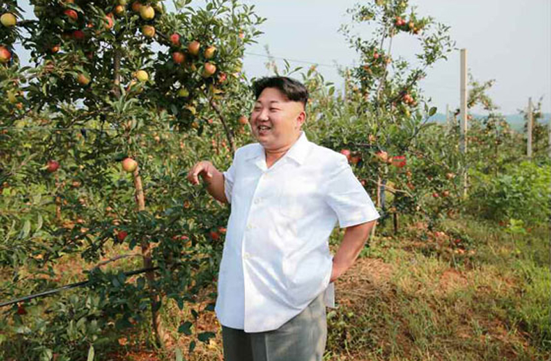 El máximo líder norcoreano, Kim Jong Un, inspeccionó últimamente una granja y alabó la buena cosecha.