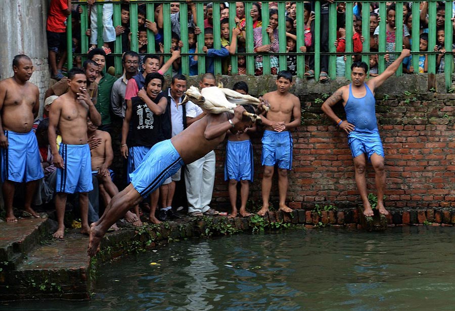 尼泊尔民众举办水中杀山羊比赛