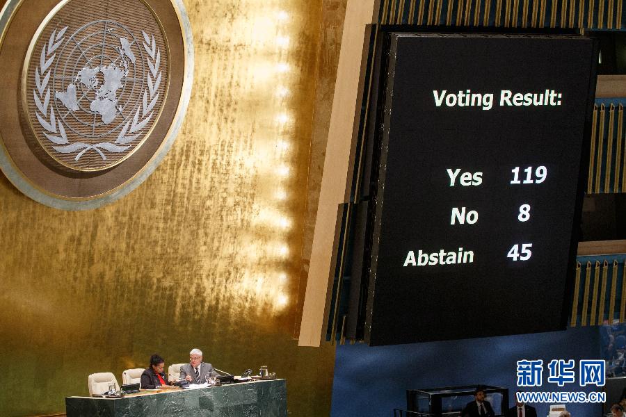 联合国通过决议同意升起巴勒斯坦国旗 组图