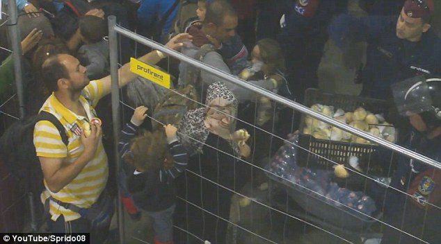 匈牙利警察向难民抛投食物 被批似喂动物(组