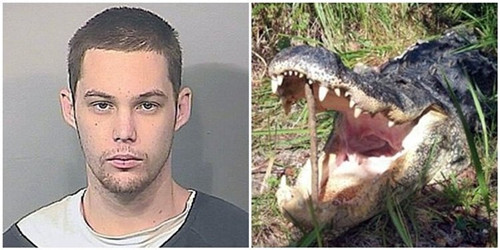 美国男子为避警察追捕躲草丛惨遭鳄鱼咬死