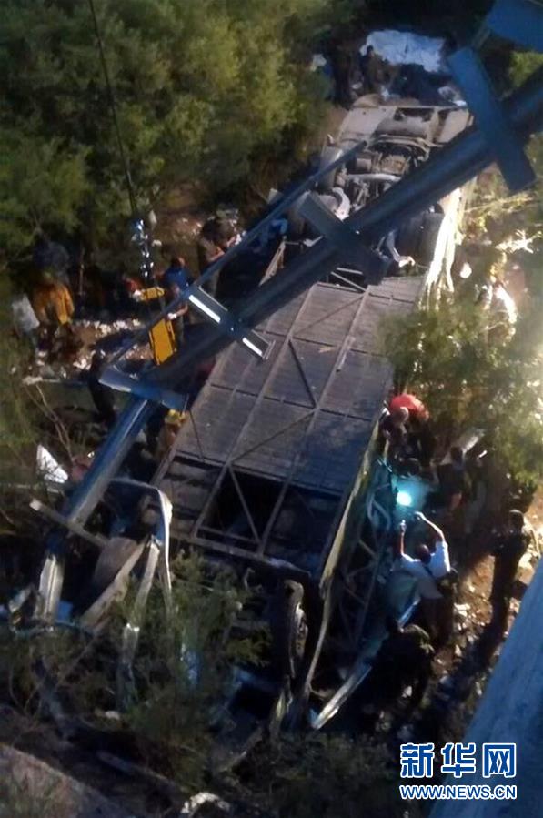 （国际）（1）阿根廷一客车坠崖致41人死亡