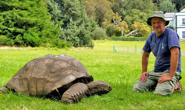 183岁陆龟成全世界最高寿生命体