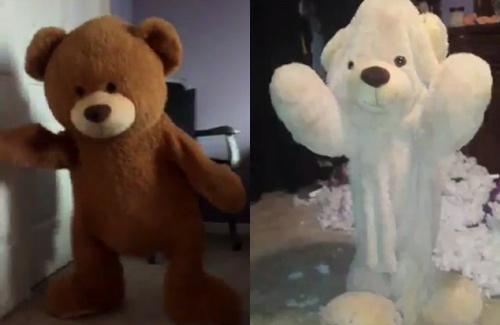 网络新潮流:穿着泰迪熊跳舞