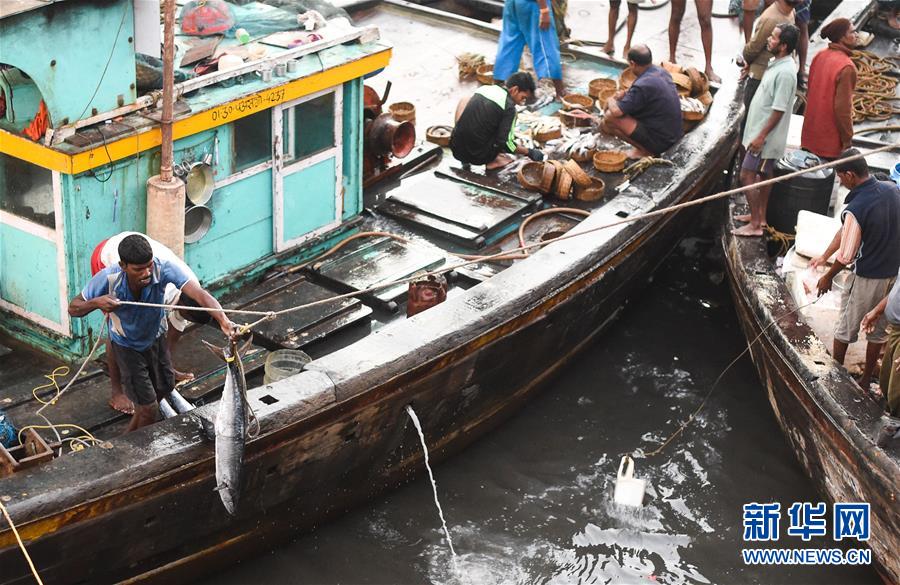 （国际）（1）印度孟买：百年历史的沙逊渔港