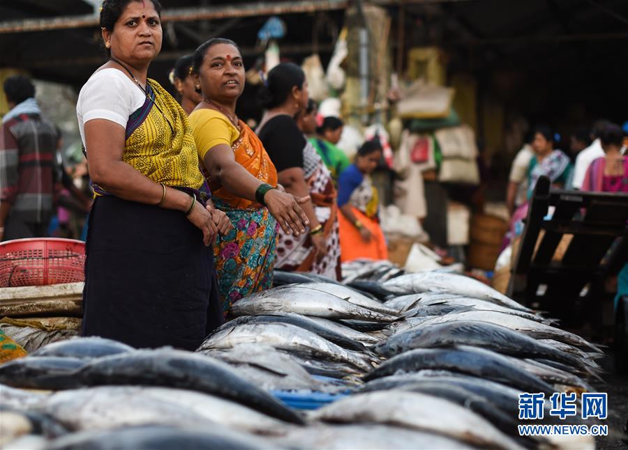 （国际）（5）印度孟买：百年历史的沙逊渔港