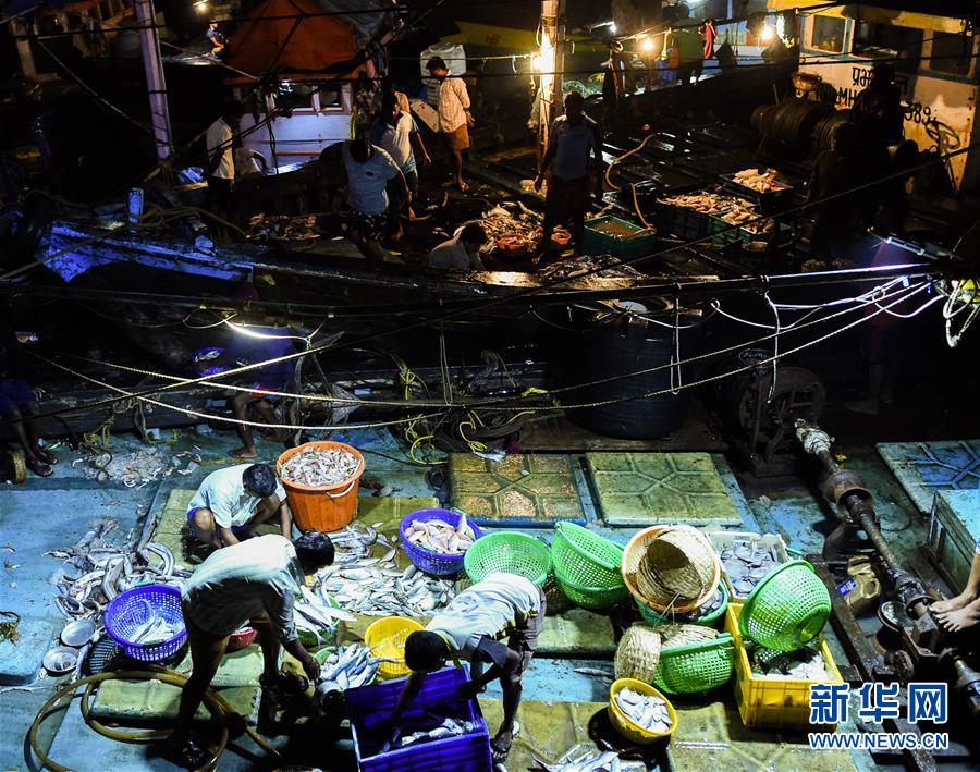（国际）（6）印度孟买：百年历史的沙逊渔港