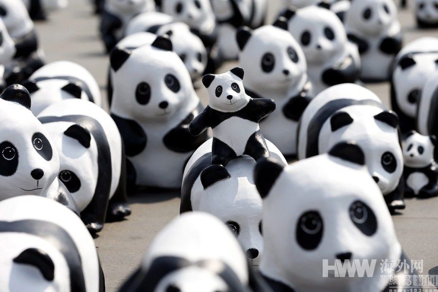 1600只纸熊猫占领泰国大皇宫广场