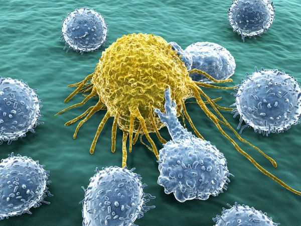 英科学家称找到癌症 致命弱点 可追杀每个癌细