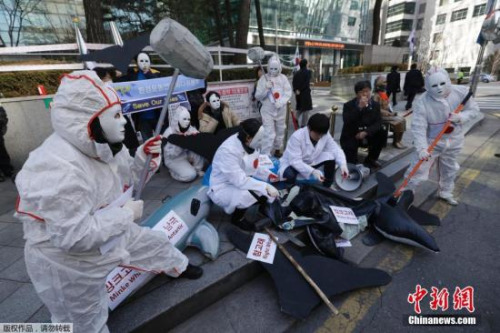 资料图：民众抗议日本捕鲸