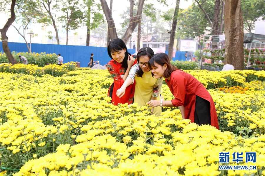 （XHDW）（1）越南胡志明市举办春节花市