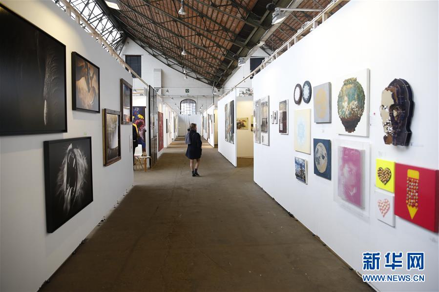 （XHDW）（2）布鲁塞尔举办“平价”艺术展