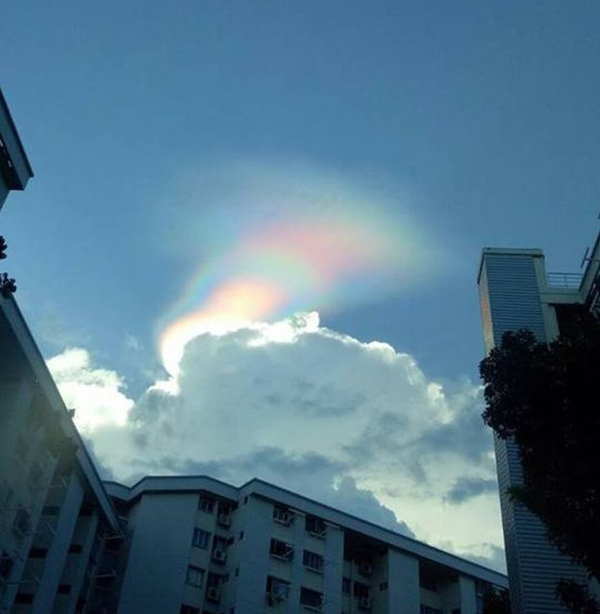 美翻了！罕见“火焰彩虹”惊现新加坡天空