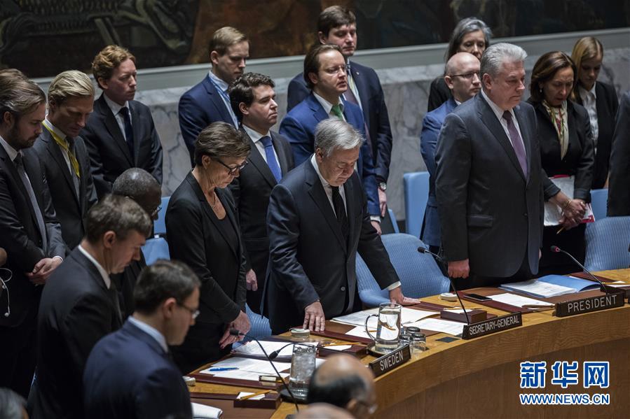 （国际）（2）安理会悼念俄常驻联合国代表丘尔金
