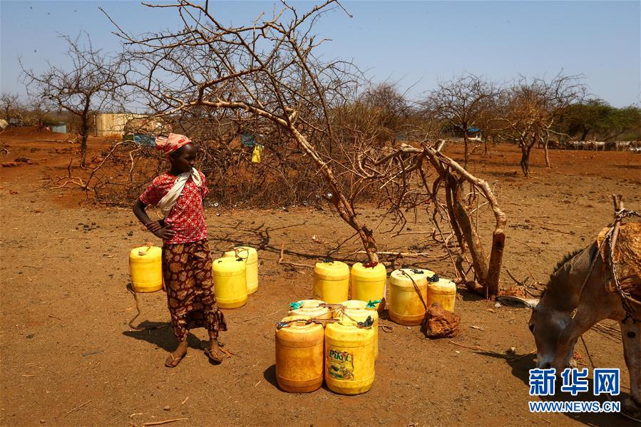 （国际）（3）肯尼亚大旱导致逾100万儿童受灾