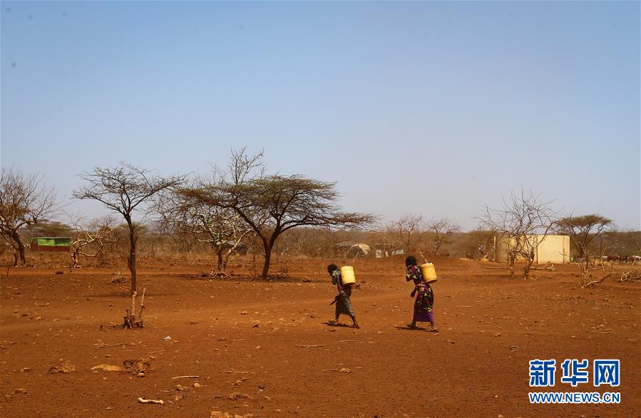 （国际）（4）肯尼亚大旱导致逾100万儿童受灾