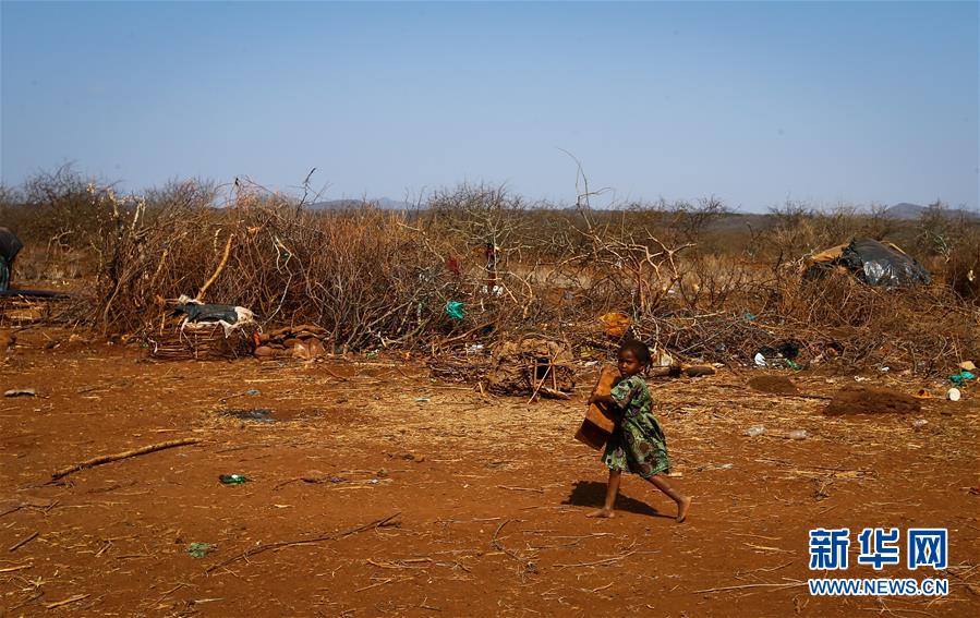（国际）（6）肯尼亚大旱导致逾100万儿童受灾