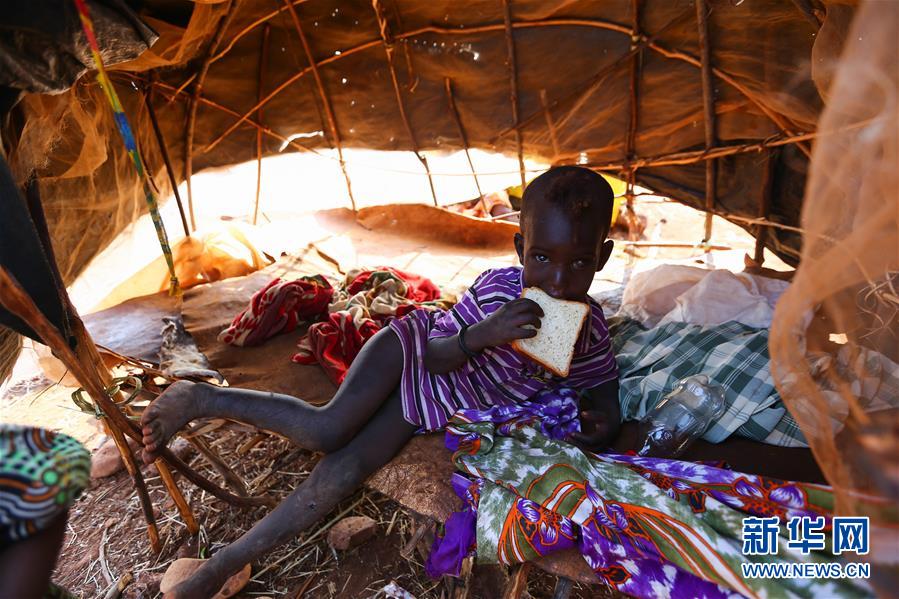 （国际）（7）肯尼亚大旱导致逾100万儿童受灾