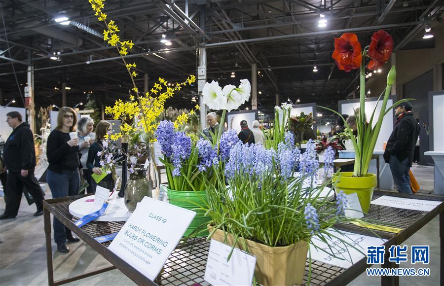 （国际）（1）加拿大花卉与园艺博览会在多伦多举行