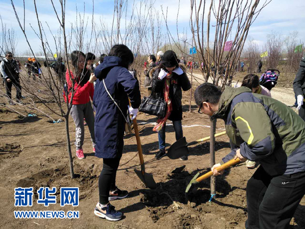 “种下千株树 盼开友谊花”——中国日本商会开展植树活动