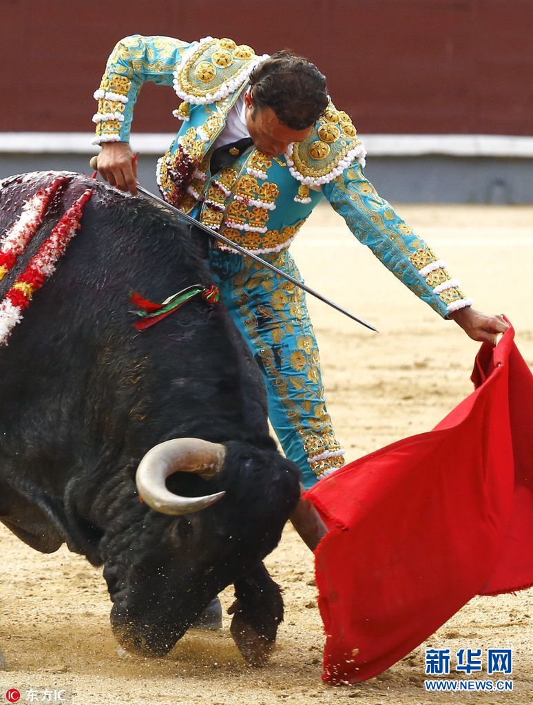 西班牙圣伊西德罗斗牛节 斗牛士遇上蛮力公牛