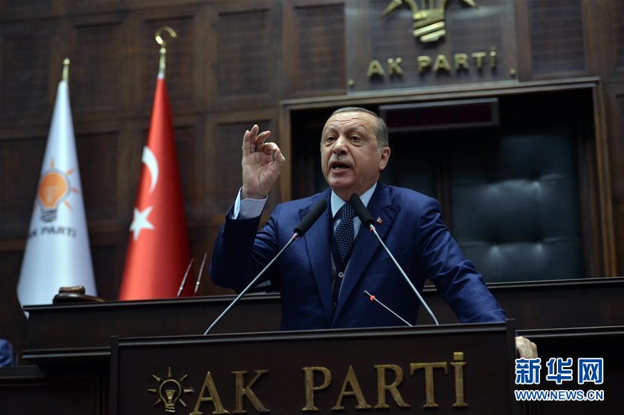 （国际）（1）土耳其总统批评多国联合制裁卡塔尔