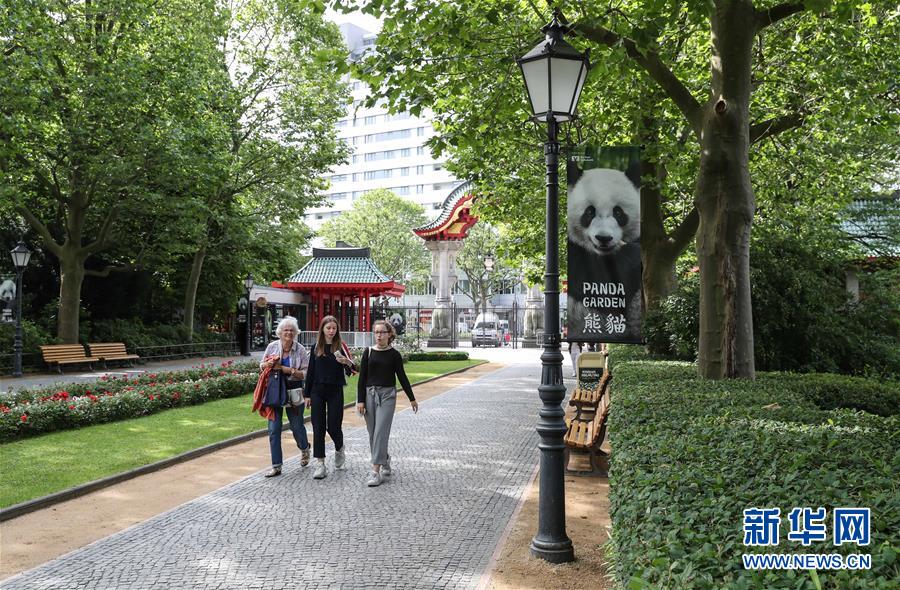 （国际）（5）柏林：争先恐后看熊猫