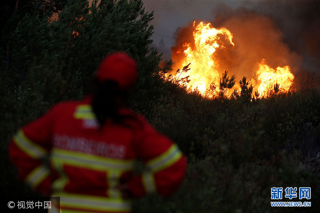 当地时间2017年7月26日，葡萄牙Macao，消防员参与到救火行动中。***_***Firefighters work to put out a forest fire next to the village of Macao, near Castelo Branco, Portugal, July 26, 2017. Rafael Marchante