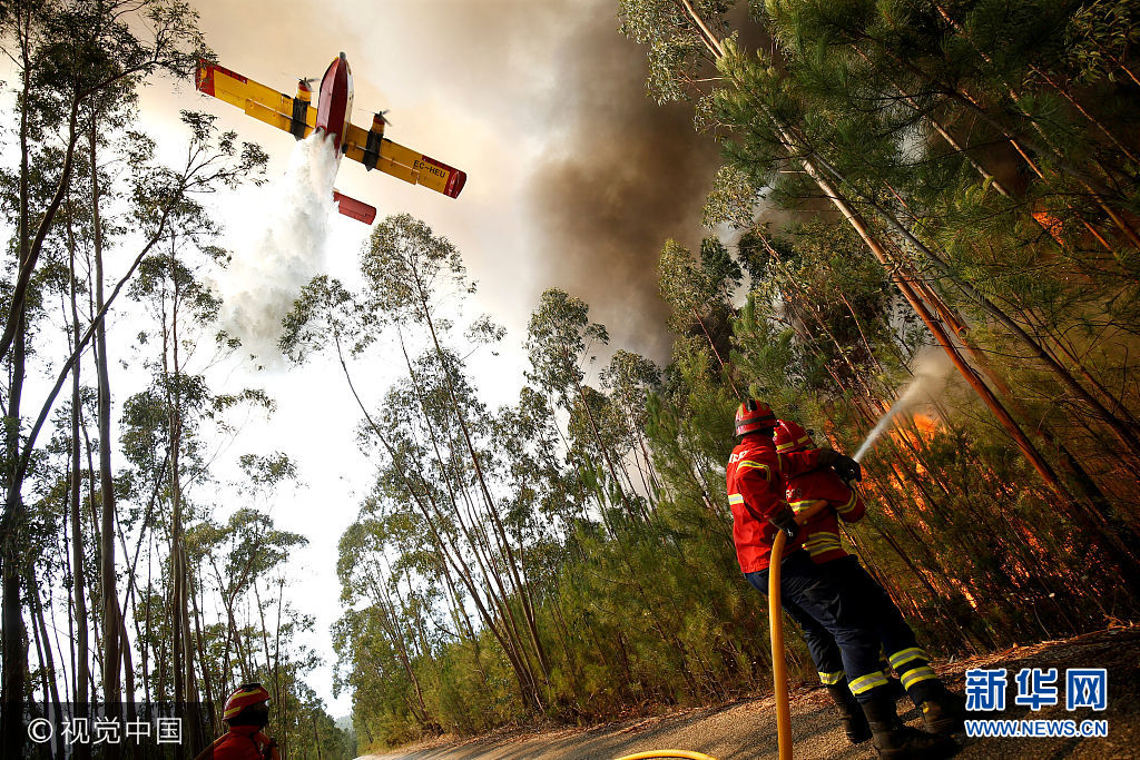 当地时间2017年7月26日，葡萄牙Macao，消防员参与到救火行动中。***_***Firefighters work to put out a forest fire next to the village of Macao, near Castelo Branco, Portugal, July 26, 2017. Rafael Marchante TPX IMAGES OF THE DAY