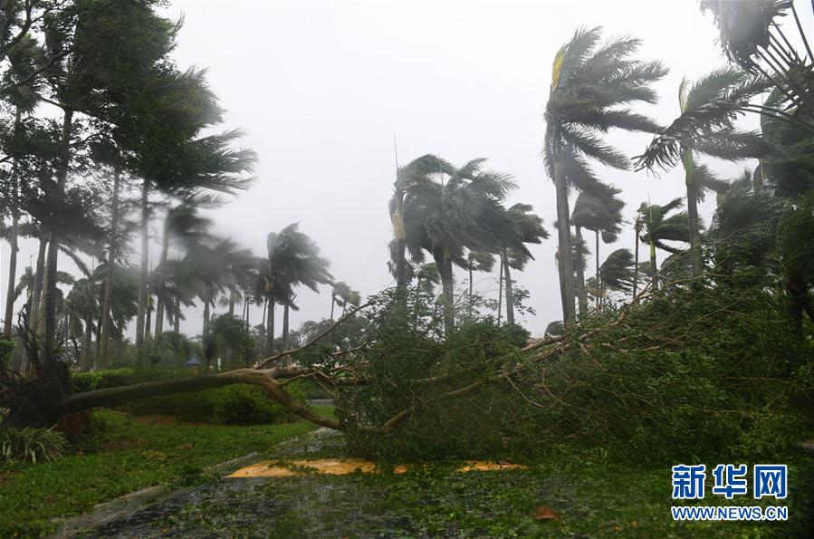 （国际）（3）飓风“艾尔玛”登陆美国佛罗里达
