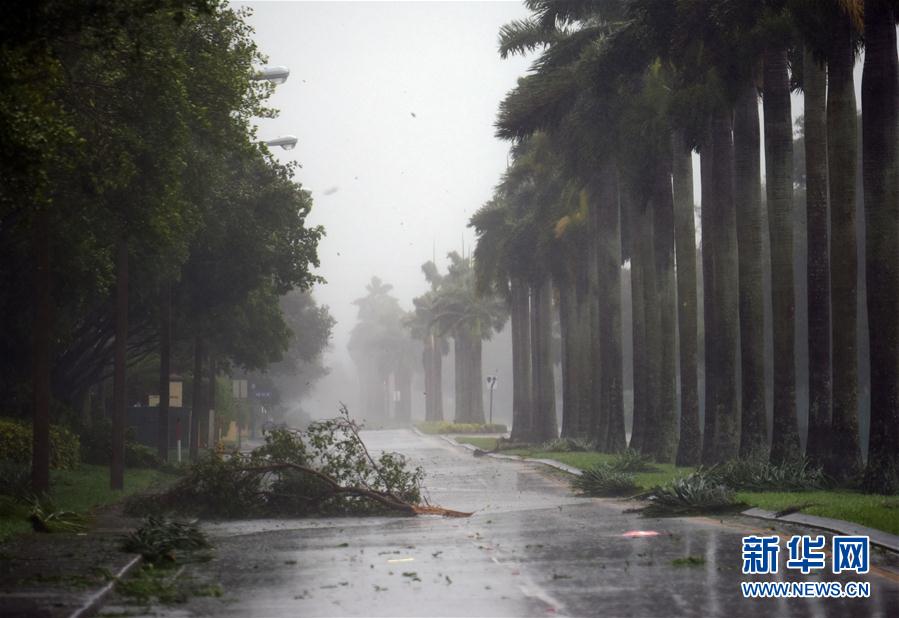 （新华视界）（1）飓风“艾尔玛”登陆美国佛罗里达